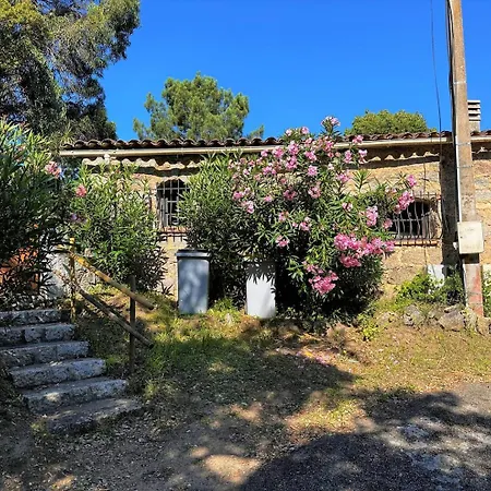 Charmante Maison De Campagne Avec Piscine * Sartène